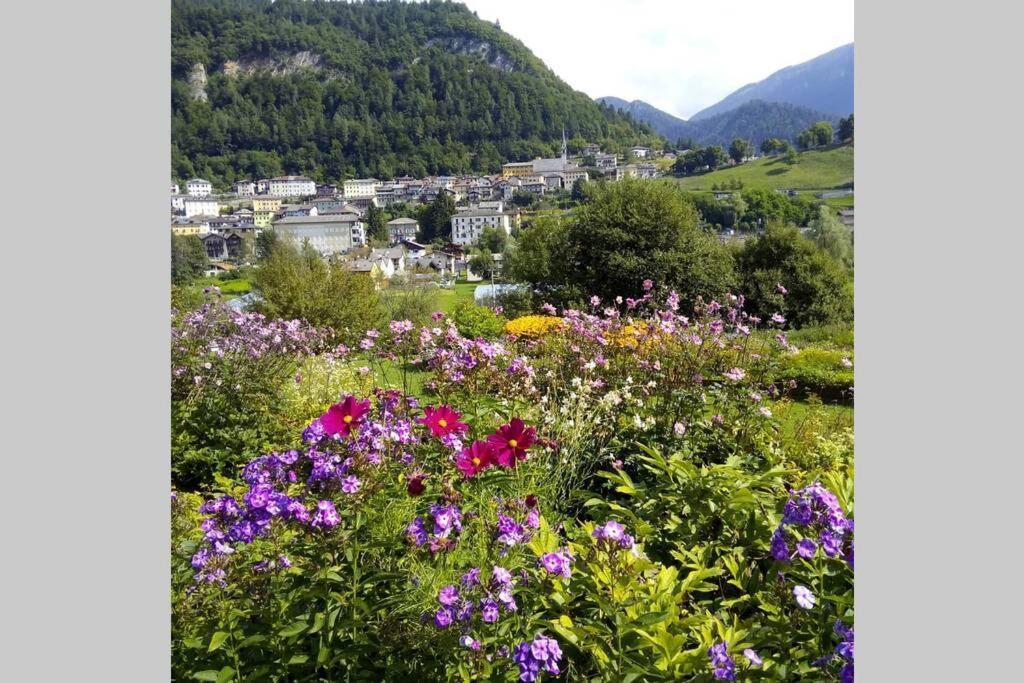 Chalet Maso Fradea Family Resort Castello Tesino Bagian luar foto